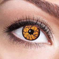 Collection image for: Oranje Lenzen