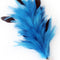 Veren