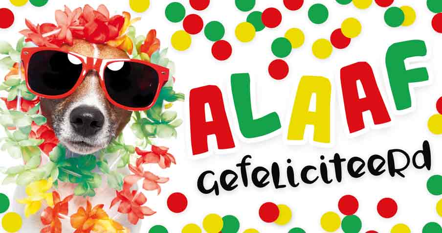 Artige Wenskaart Carnaval Panorama Alaaf Gefeliciteerd