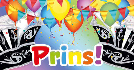 Artige Wenskaart Carnaval Panorama Prins!