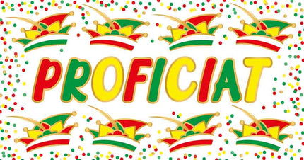 Artige Wenskaart Carnaval Panorama Proficiat