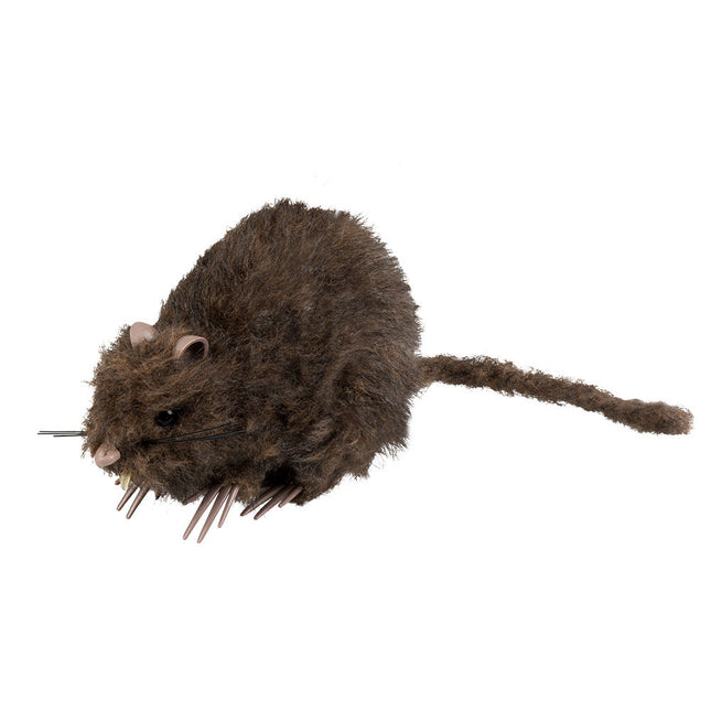 Boland Decoratie Rat