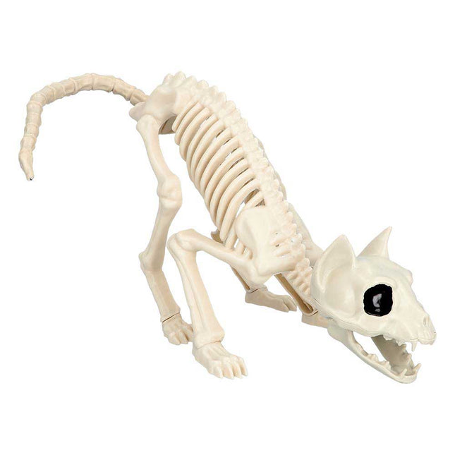 Boland Decoratie Skelet Kat – 49 x 18 x 14 cm