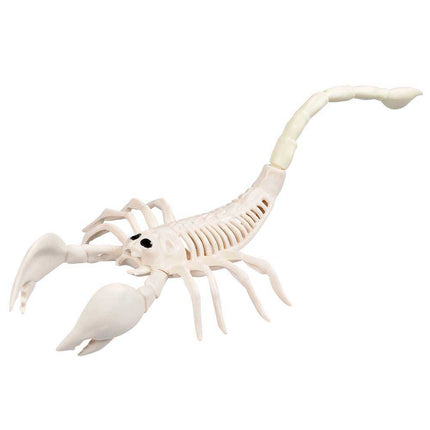Boland Decoratie Skelet Schorpioen – 33 x 14 x 8 cm