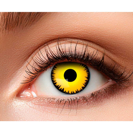 Boland Dinosaurus kleurlenzen