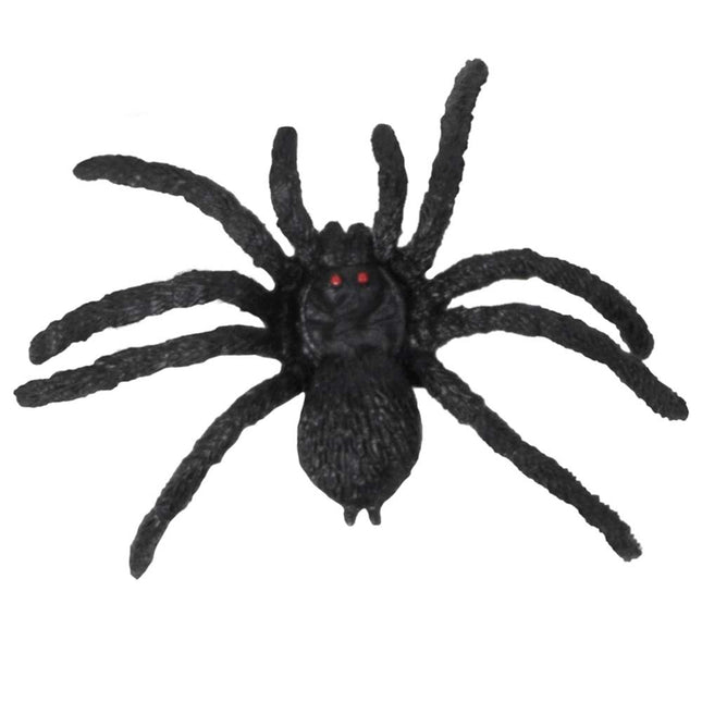 Boland Harige spin zwart