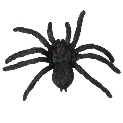 Boland Harige spin zwart