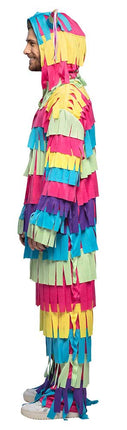 Boland Kostuum Pinata