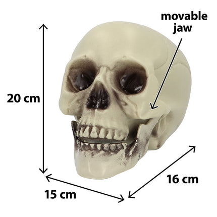 Boland Schedel Whisperbone