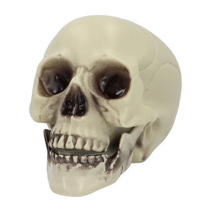 Boland Schedel Whisperbone