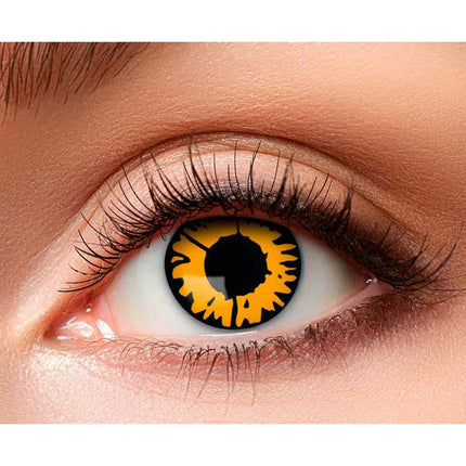 Boland Twilight kleurlenzen