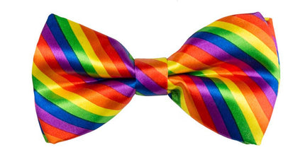 Boland Vlinderstrik Regenboog