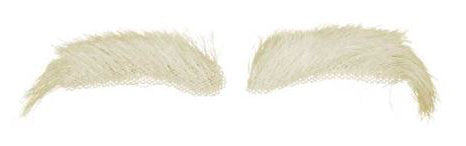 Comedia Sinterklaas Wenkbrauwen buffelhaar Yak