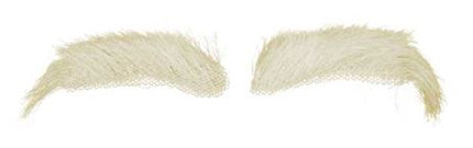 Comedia Sinterklaas Wenkbrauwen buffelhaar Yak