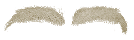 Comedia Sinterklaas Wenkbrauwen kanekalon