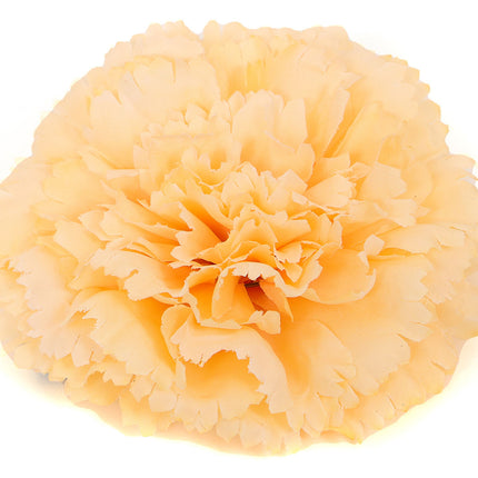 Di Bartelomeo Anjer Oranje met elastiek en speld