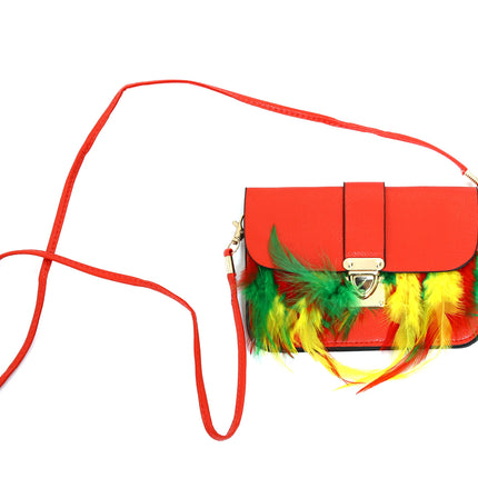 Di Bartelomeo Tasje Limburg met veren