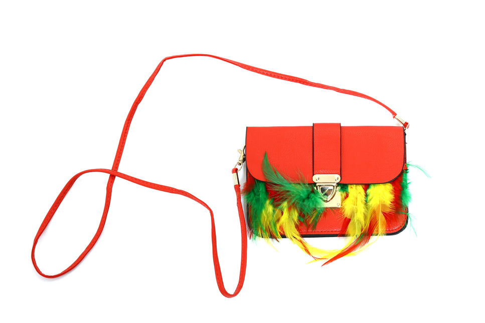 Di Bartelomeo Tasje Limburg met veren