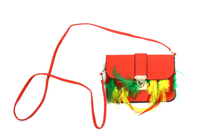 Di Bartelomeo Tasje Limburg met veren