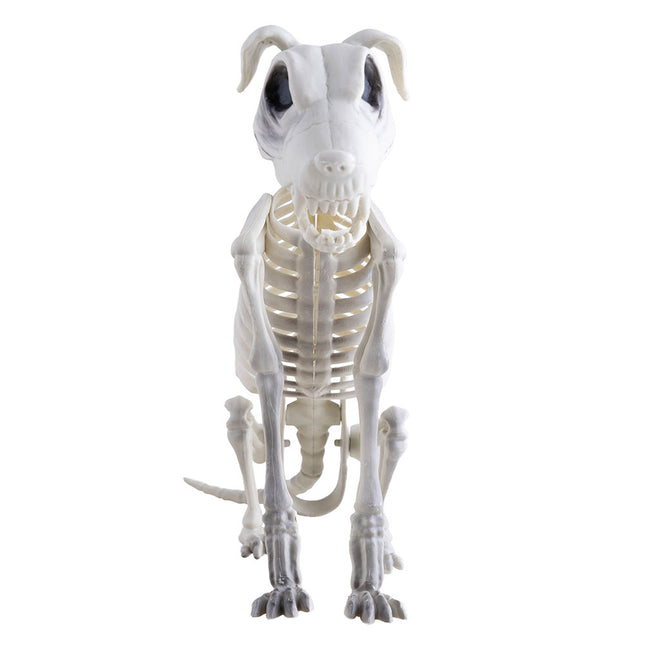 Funny Fashion Honden skelet Halloween decoratie 43 cm