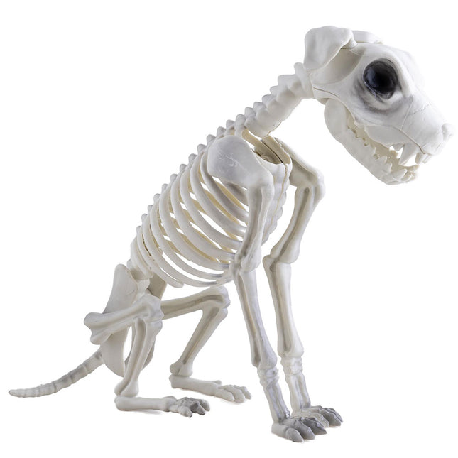 Funny Fashion Honden skelet Halloween decoratie 43 cm