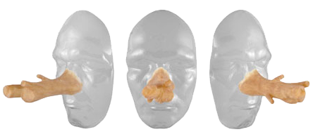 Grimas Grimas Latex Boom Neus