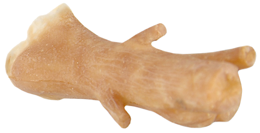 Grimas Grimas Latex Boom Neus