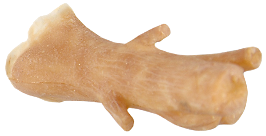 Grimas Grimas Latex Boom Neus