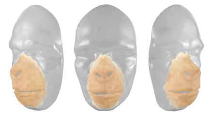 Grimas Grimas Latex Chimpansee Gezicht