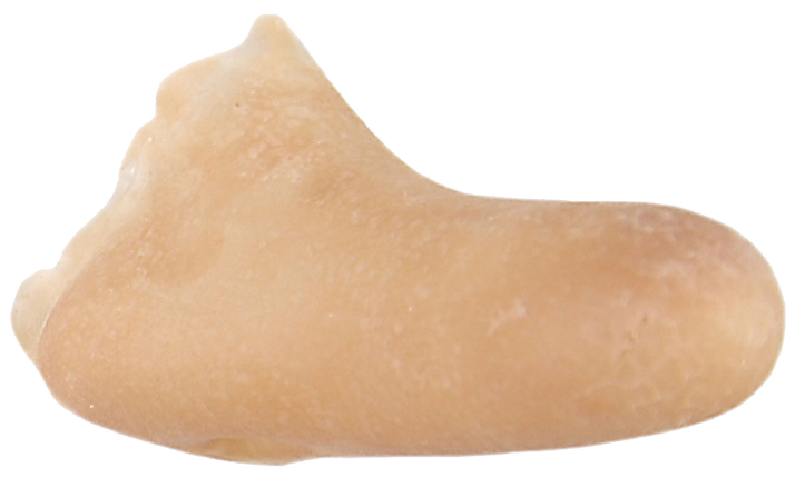 Grimas Grimas Latex Cyranoneus