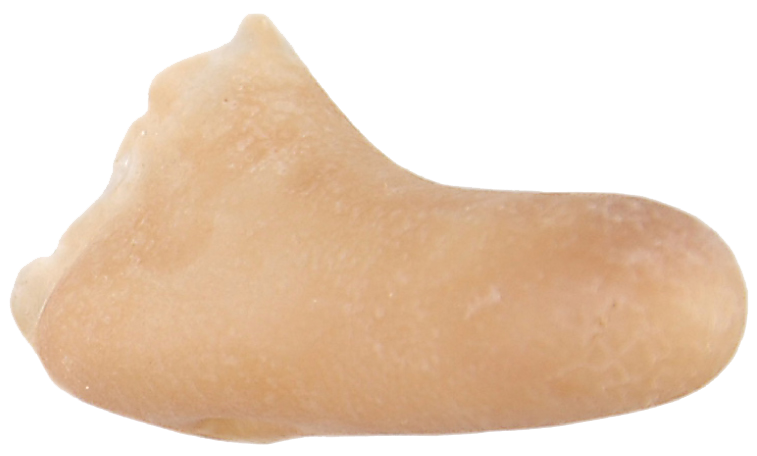 Grimas Grimas Latex Cyranoneus