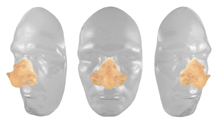 Grimas Grimas Latex Drakensnuit