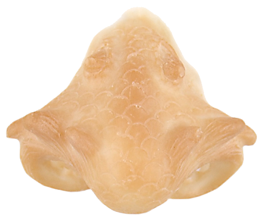 Grimas Grimas Latex Drakensnuit