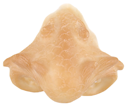 Grimas Grimas Latex Drakensnuit