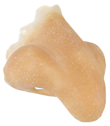 Grimas Grimas Latex Duivelsneus