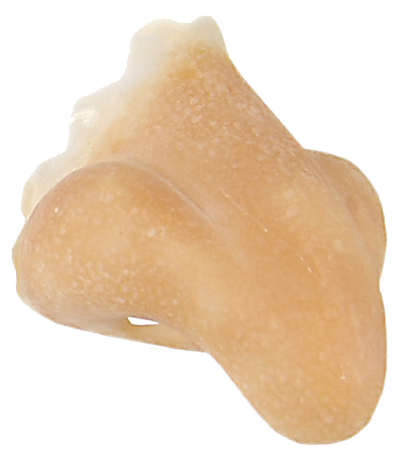 Grimas Grimas Latex Duivelsneus