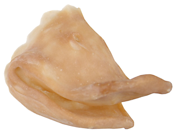 Grimas Grimas Latex Eendensnuit