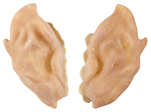 Grimas Grimas Latex Elfenoren