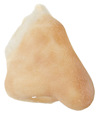 Grimas Grimas Latex Haakneus