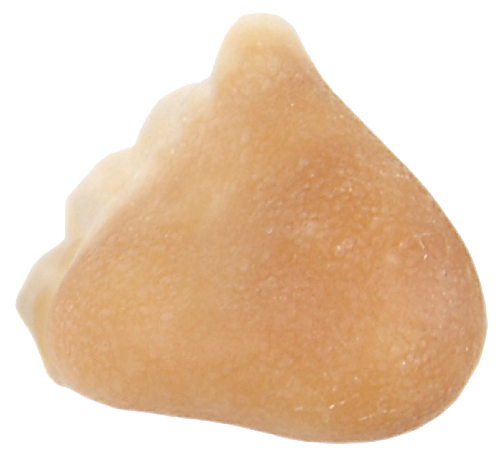 Grimas Grimas Latex Hamerneus