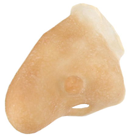 Grimas Grimas Latex Hekseneus