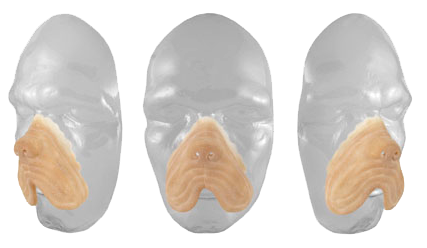 Grimas Grimas Latex Hondensnuit