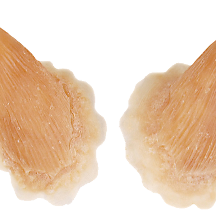 Grimas Grimas Latex Hoorns