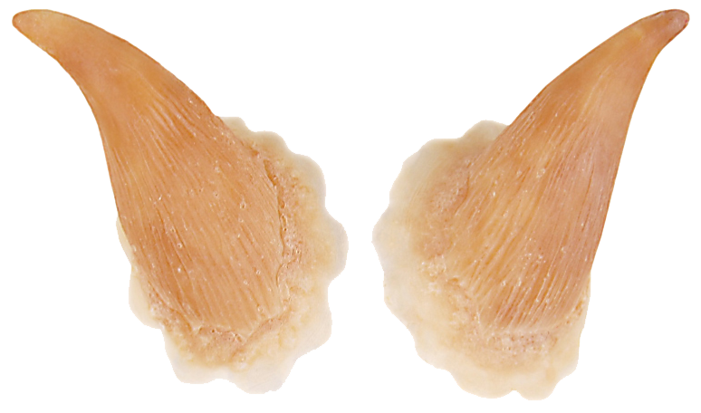 Grimas Grimas Latex Hoorns