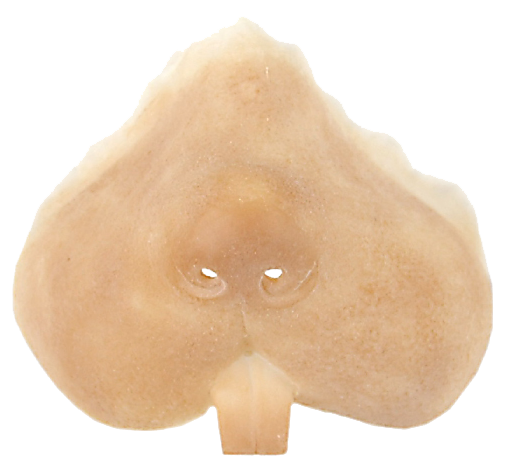 Grimas Grimas Latex Knaagdier snuit