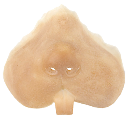 Grimas Grimas Latex Knaagdier snuit