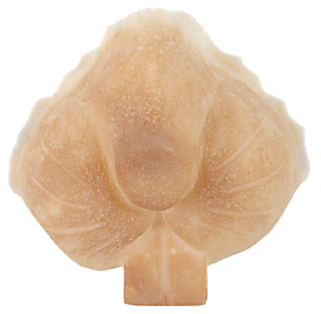 Grimas Grimas Latex Konijnensnuit