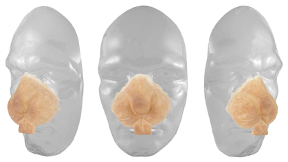 Grimas Grimas Latex Konijnensnuit