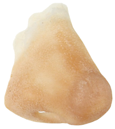 Grimas Grimas Latex Normale Neus