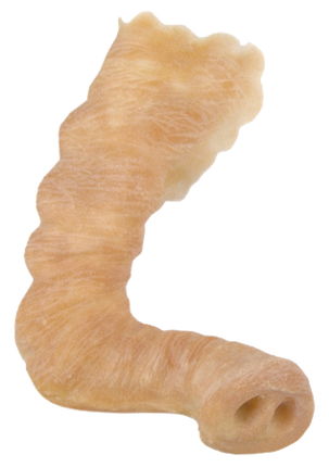 Grimas Grimas Latex Olifanten Slurf